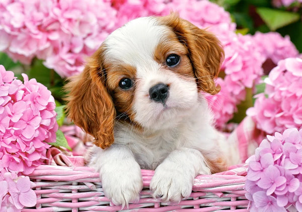 image1_500pc Pup In Pink Flowers Puzzle