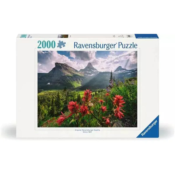 2000pc WT: Landscape Puzzle